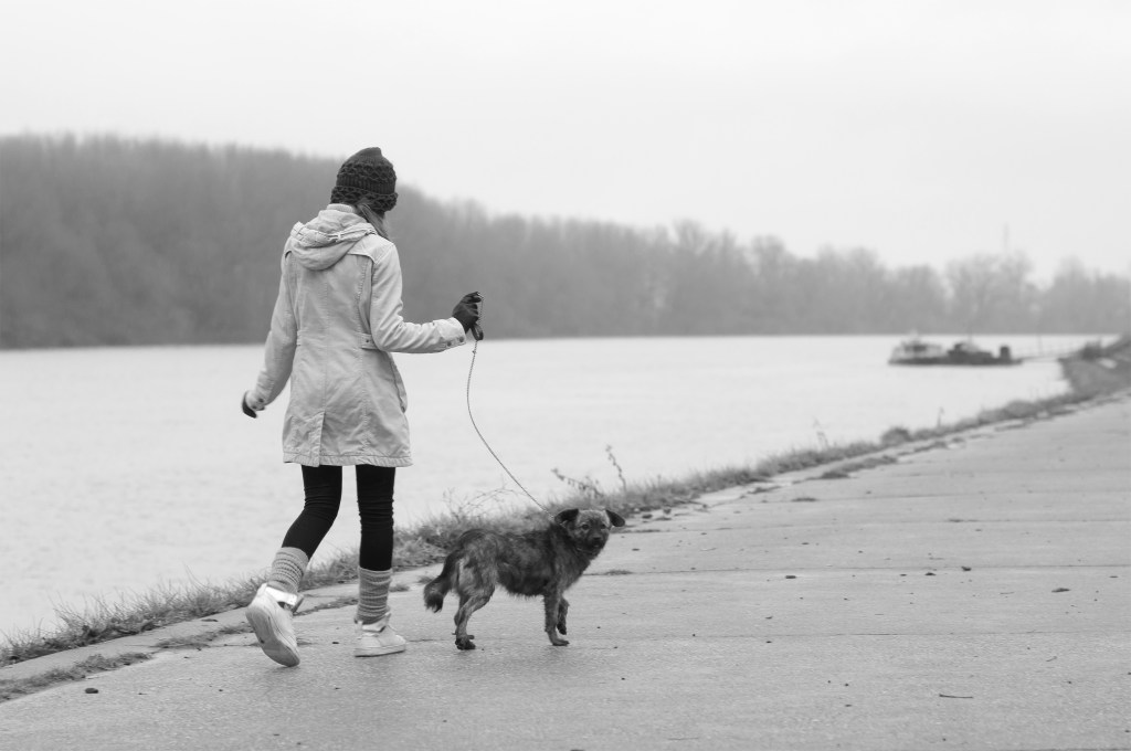 A Liturgy for Walking the&nbsp;Dog